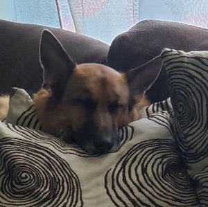 Meet your Posher, Aimee